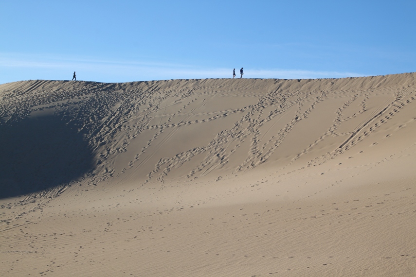 Mesquite Dunes